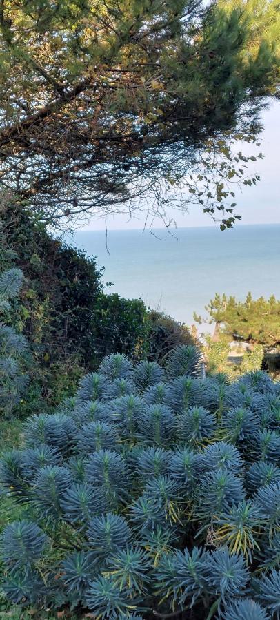 Le Cise Eau A Bois Apartment Le Bois de Cise Exterior foto
